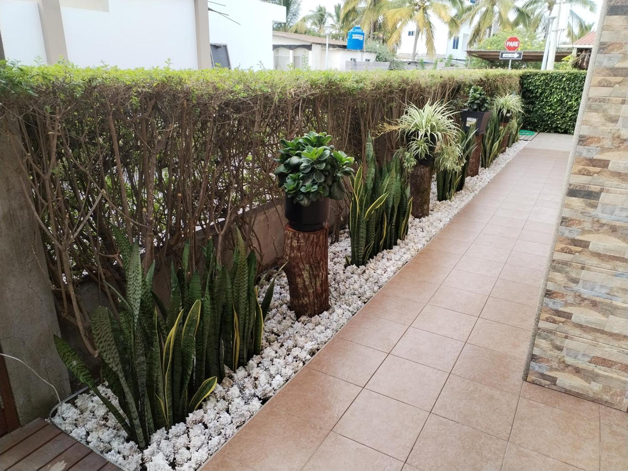Hotel Starfish Puerto Villamil Buitenkant foto